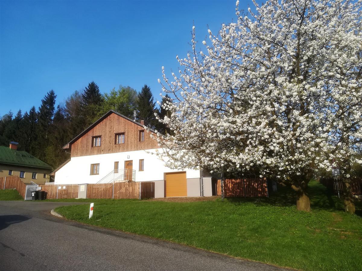 Haus Tolstejn Apartment Jiretin pod Jedlovou ภายนอก รูปภาพ